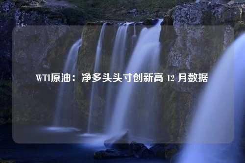 WTI原油：净多头头寸创新高 12 月数据