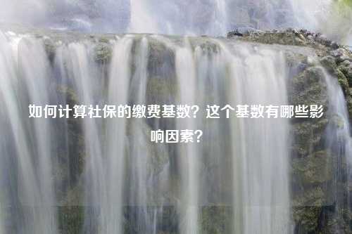 如何计算社保的缴费基数？这个基数有哪些影响因素？