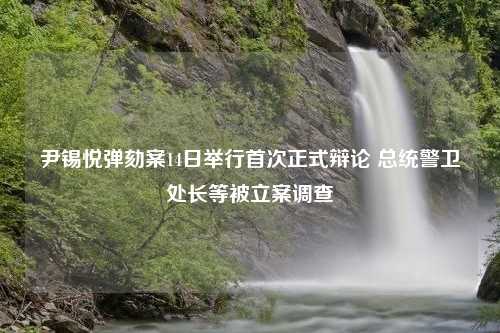 尹锡悦弹劾案14日举行首次正式辩论 总统警卫处长等被立案调查