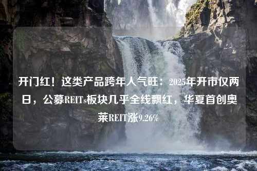 开门红！这类产品跨年人气旺：2025年开市仅两日，公募REITs板块几乎全线飘红，华夏首创奥莱REIT涨9.26%