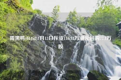 周黑鸭(01458)1月13日斥资116.12万港元回购77.1万股