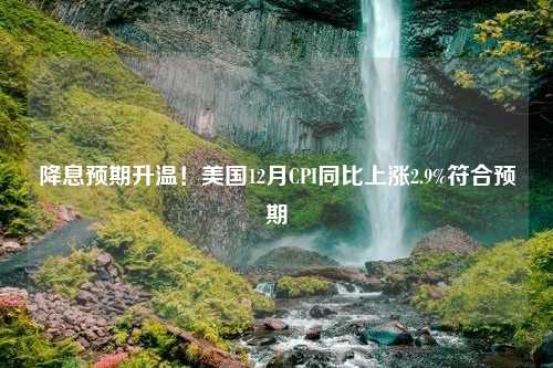 降息预期升温！美国12月CPI同比上涨2.9%符合预期